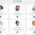 Responsive Team design card flipper using bootstrap 4